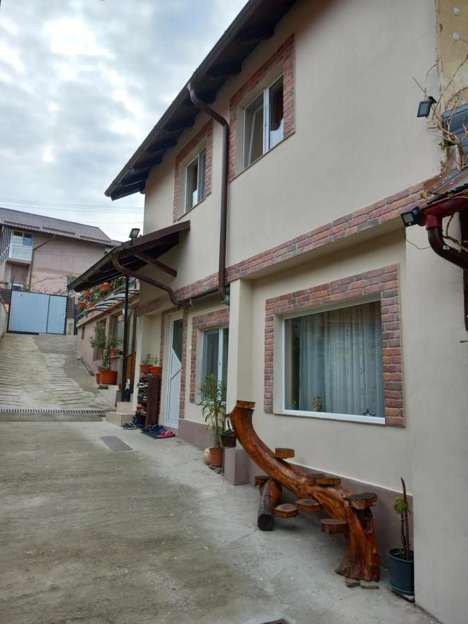 Hotel Casa Rariana à Călimăneşti Extérieur photo
