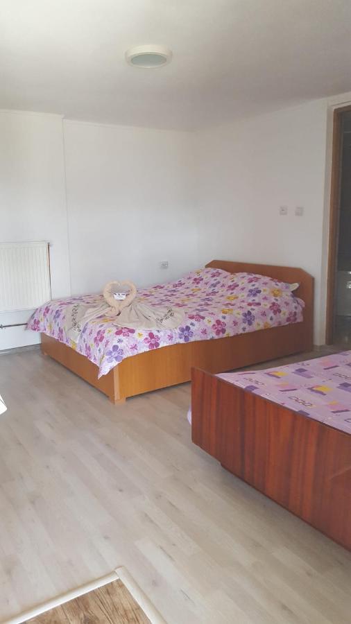 Hotel Casa Rariana à Călimăneşti Extérieur photo