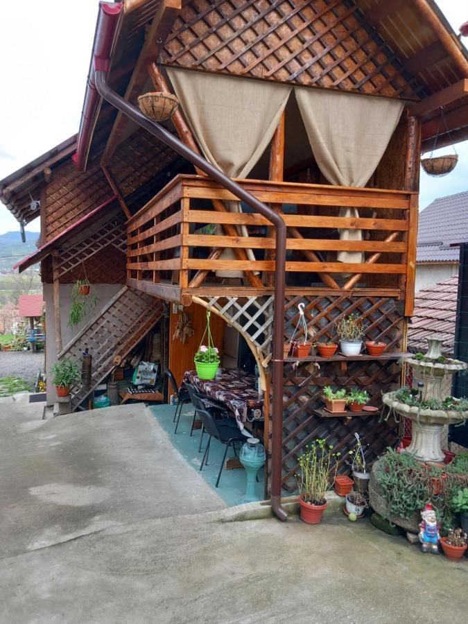 Hotel Casa Rariana à Călimăneşti Extérieur photo