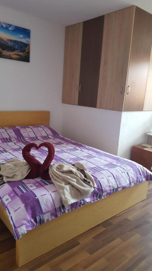 Hotel Casa Rariana à Călimăneşti Extérieur photo