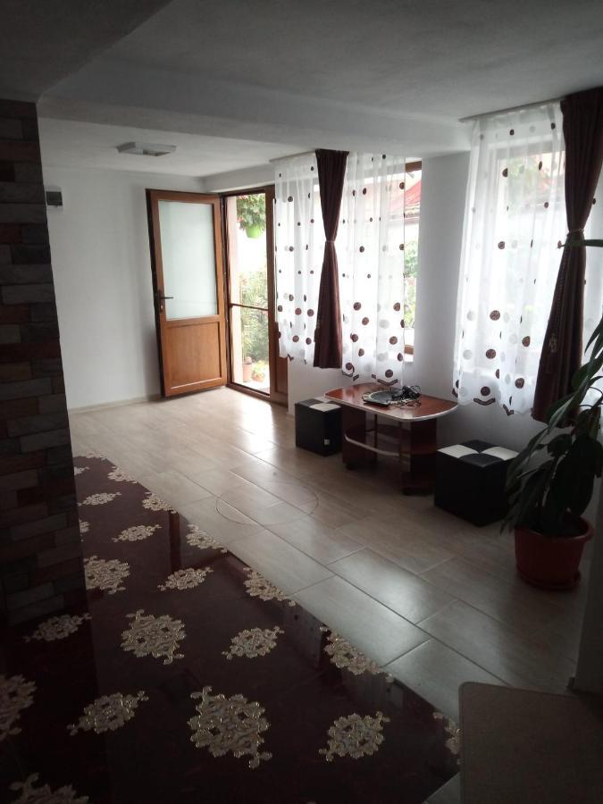 Hotel Casa Rariana à Călimăneşti Extérieur photo