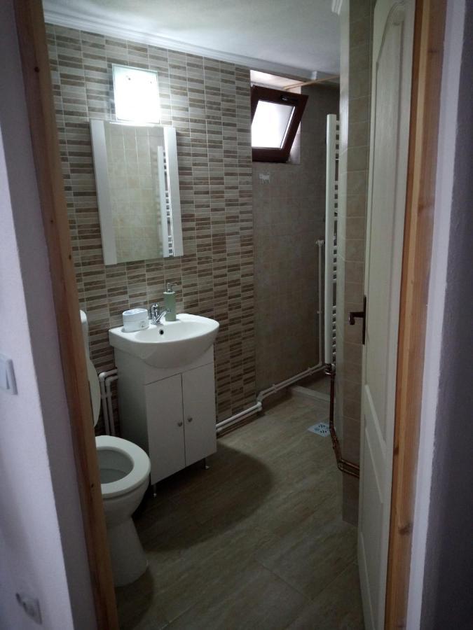 Hotel Casa Rariana à Călimăneşti Extérieur photo