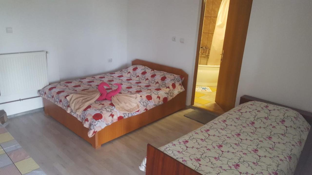 Hotel Casa Rariana à Călimăneşti Extérieur photo