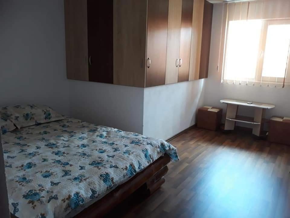 Hotel Casa Rariana à Călimăneşti Extérieur photo